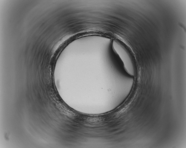 X0000099571021200806131252