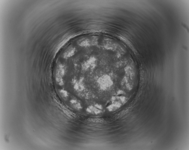 X0000099571023200806131252