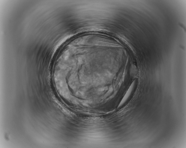 X0000099571024200806131252