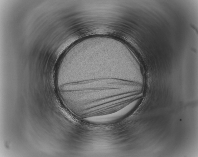 X0000099571026200806131252