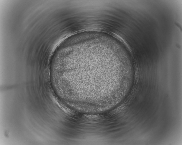 X0000099571027200806131252