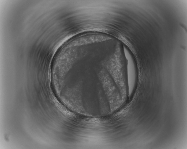 X0000099571028200806131252