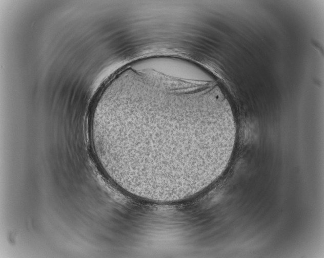 X0000099571030200806131252