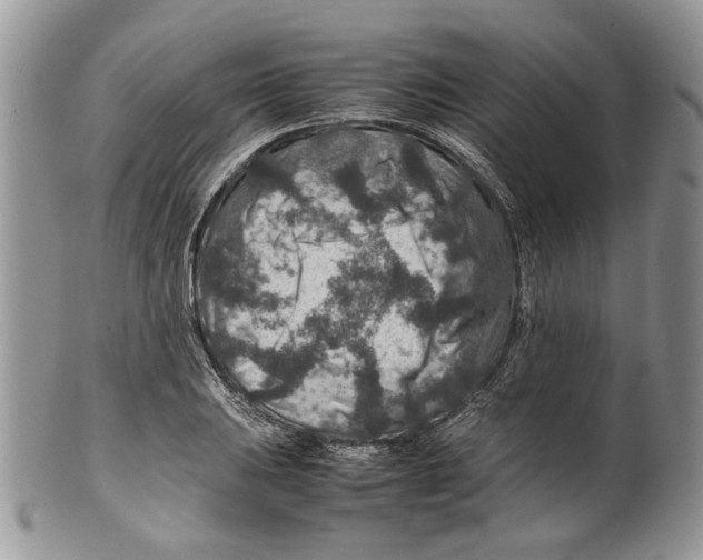 X0000099571031200806131252