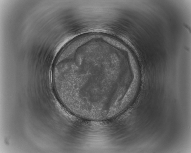 X0000099571032200806131252