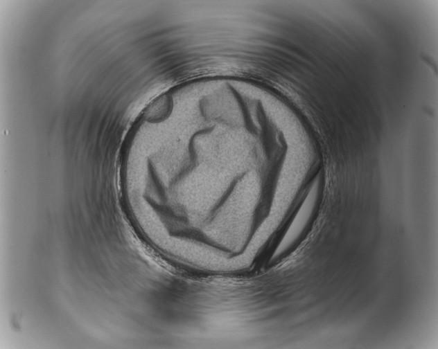X0000099571034200806131252