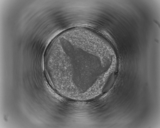 X0000099571036200806131252