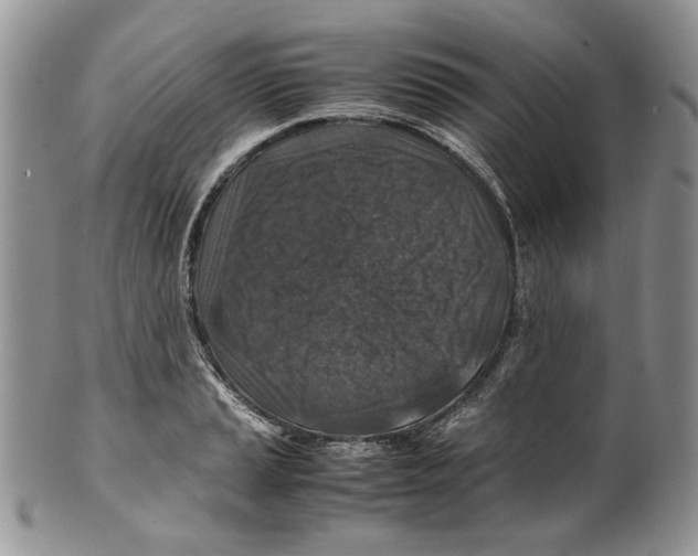 X0000099571037200806131252