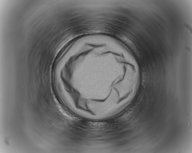 X0000099571039200806131252