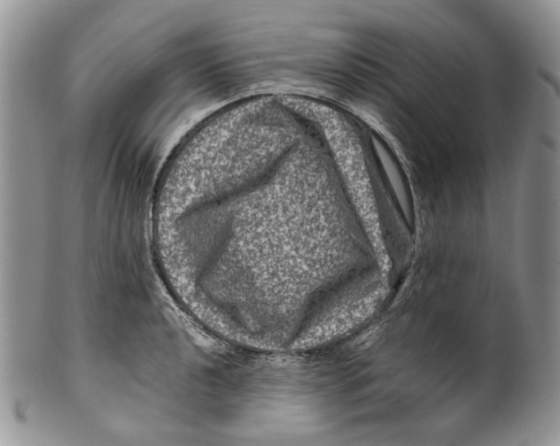 X0000099571040200806131252
