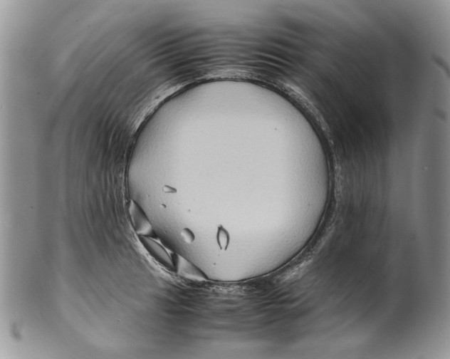 X0000099571041200806131252