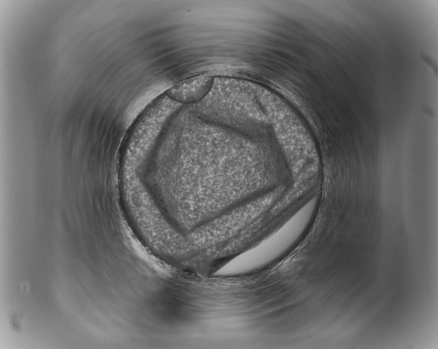 X0000099571042200806131252