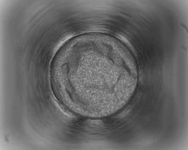 X0000099571043200806131252
