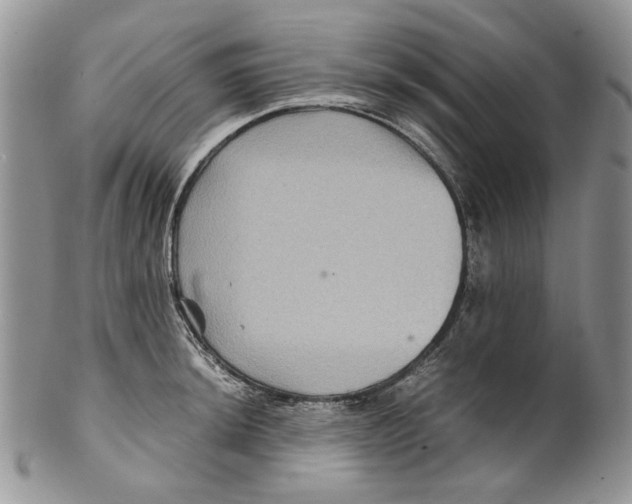 X0000099571044200806131252
