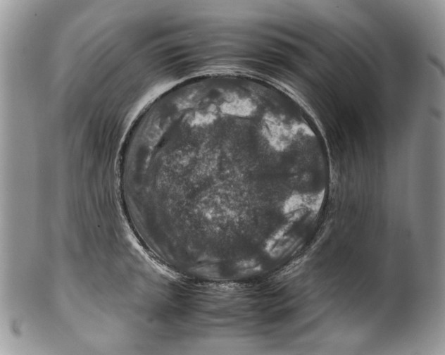 X0000099571045200806131252