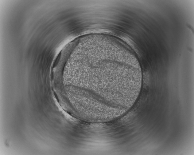X0000099571046200806131252