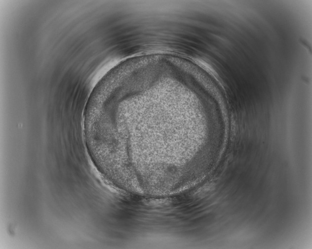 X0000099571047200806131252