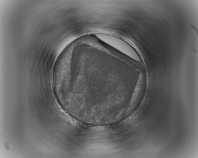 X0000099571048200806131252