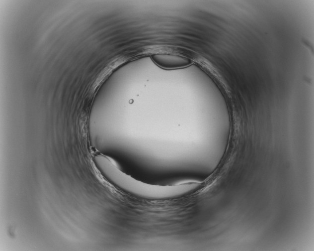 X0000099571049200806131252
