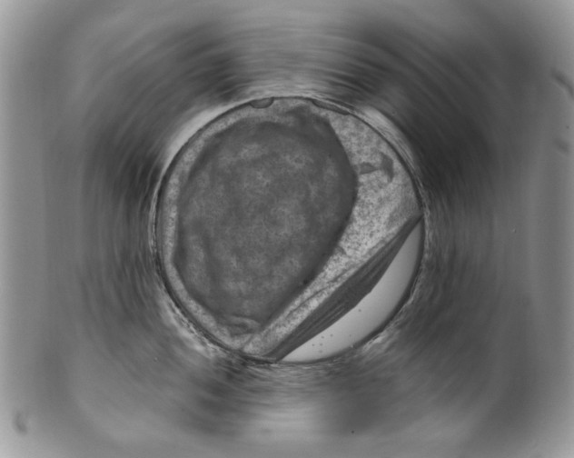 X0000099571052200806131252