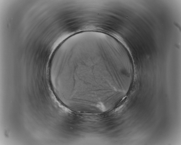 X0000099571053200806131252