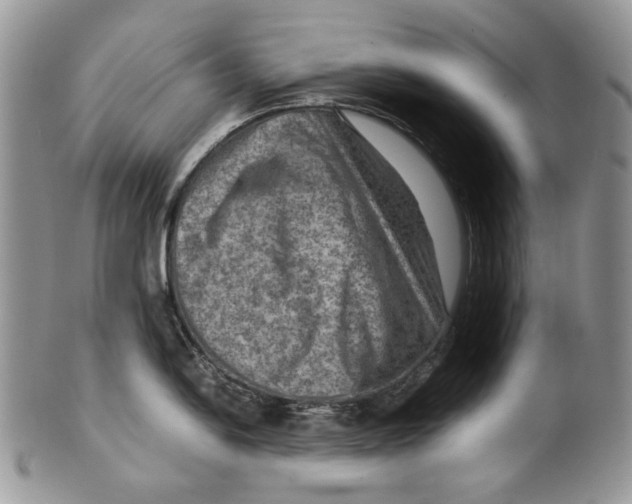 X0000099571054200806131252