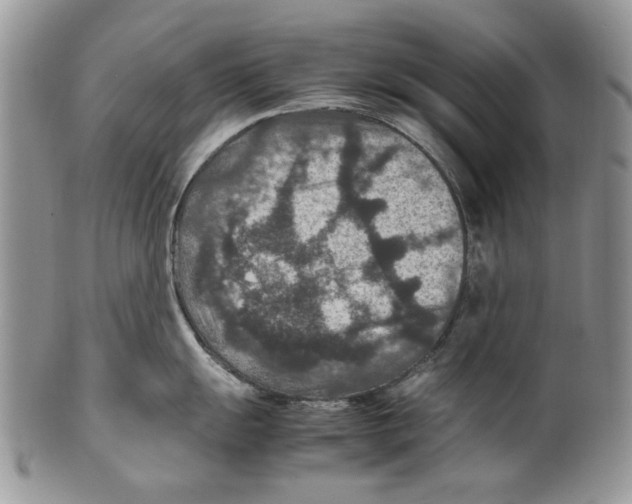 X0000099571055200806131252