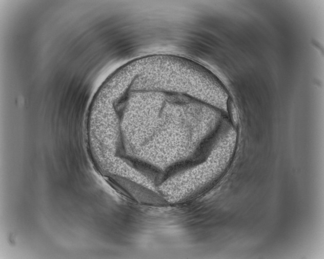 X0000099571056200806131252