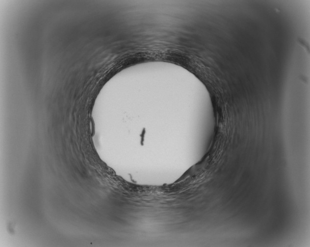 X0000099571057200806131251