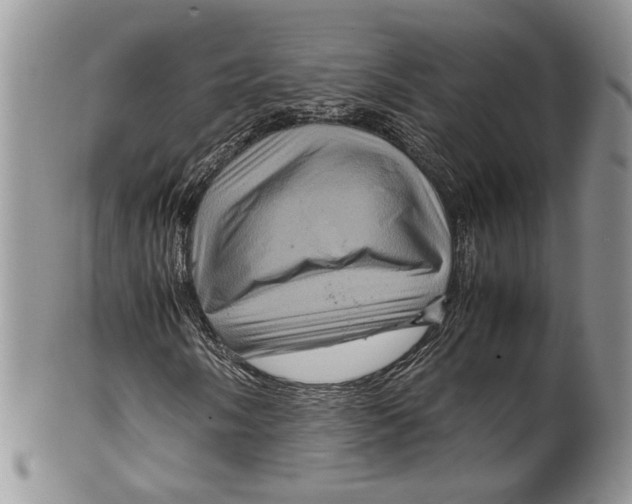 X0000099571058200806131251