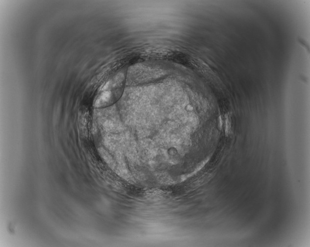 X0000099571059200806131251