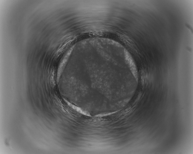 X0000099571060200806131251