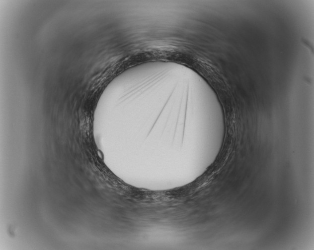 X0000099571061200806131251