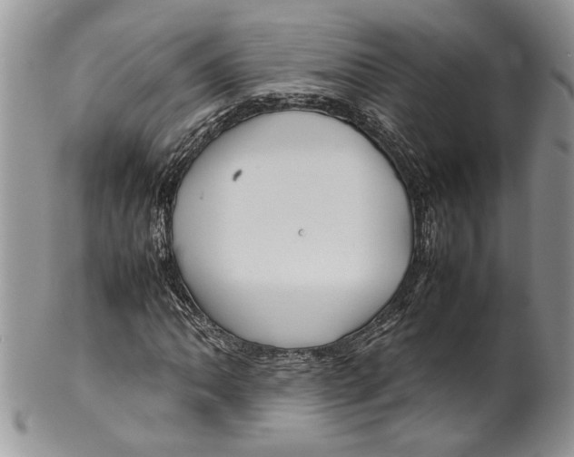 X0000099571062200806131251