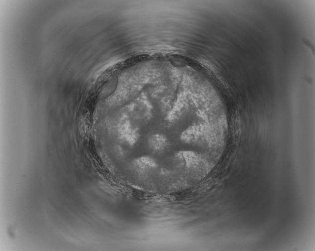 X0000099571063200806131251