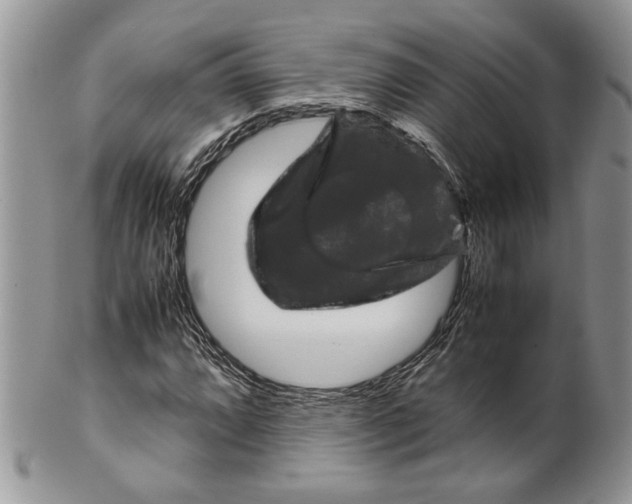 X0000099571064200806131251