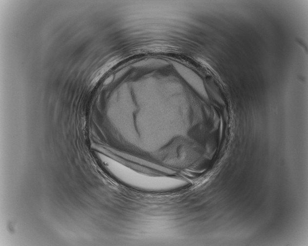 X0000099571065200806131251