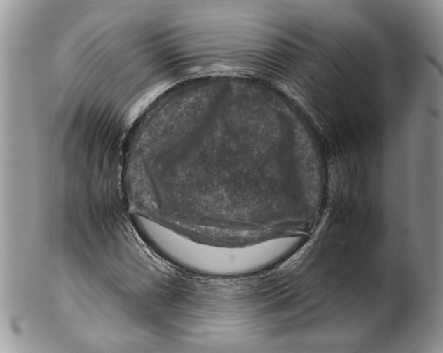 X0000099571066200806131251