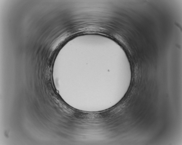 X0000099571067200806131251