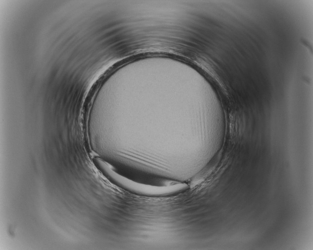X0000099571068200806131251