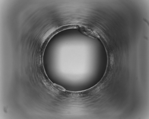X0000099571069200806131251