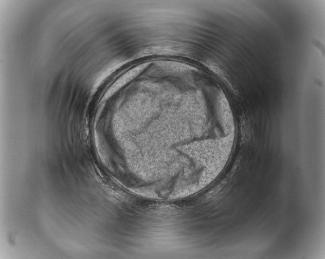X0000099571070200806131251