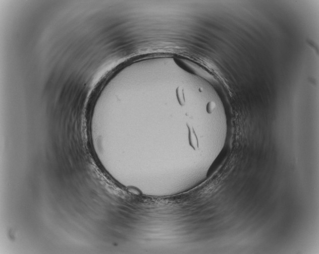 X0000099571072200806131251