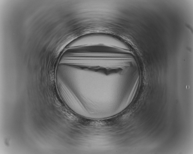 X0000099571073200806131251