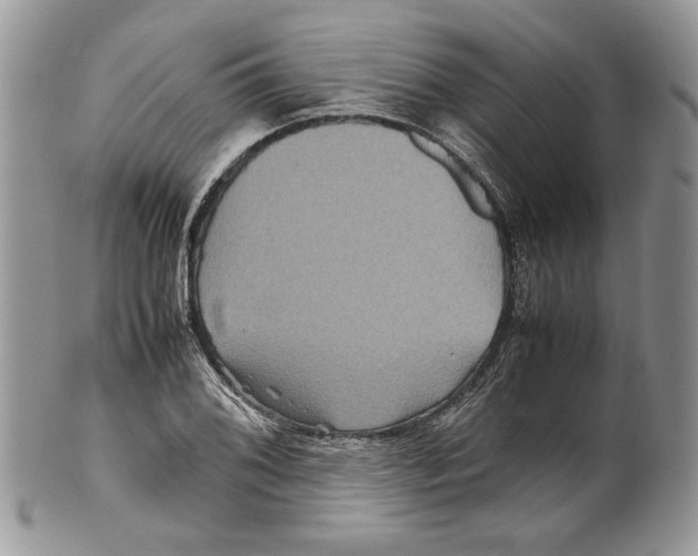 X0000099571076200806131251