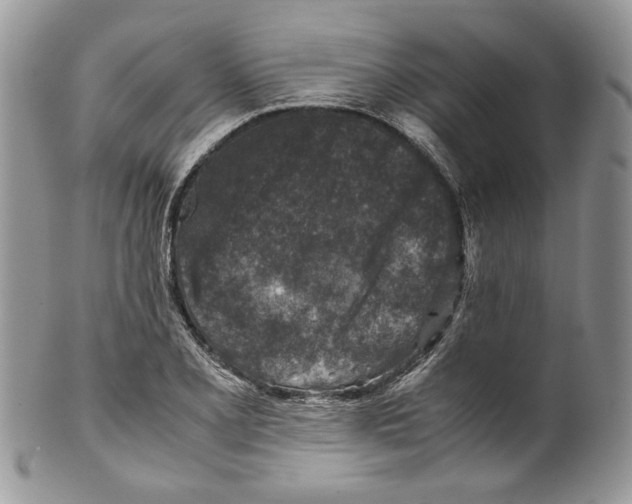 X0000099571077200806131251