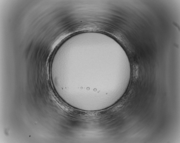 X0000099571078200806131251