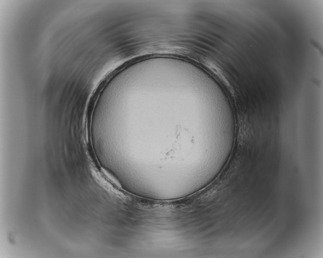 X0000099571080200806131251