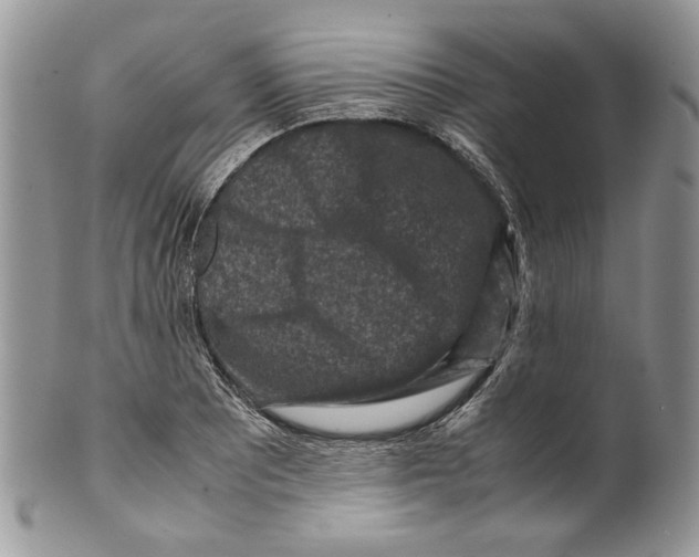 X0000099571081200806131251