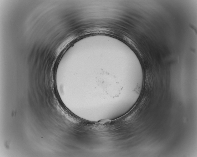X0000099571082200806131251